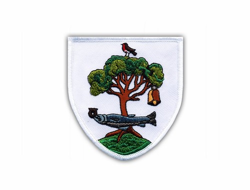 Coat arms glasgow - of,