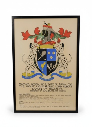 Vintage proposed heraldic coat - proposed,