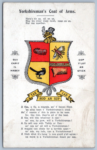 Heraldic yorkshire mans coat - heraldic,