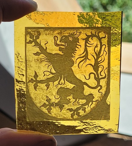 Stained glass lion - glass, medieval
