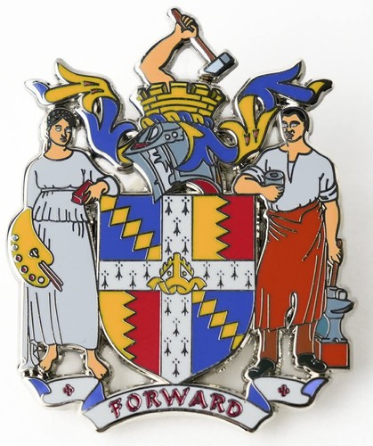 Birmingham city large pin - city,