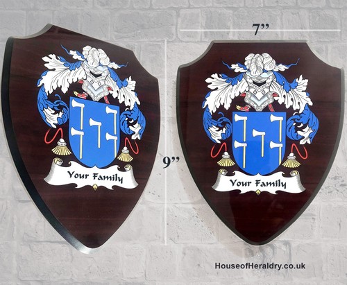 Luxury family coat arms - coat,