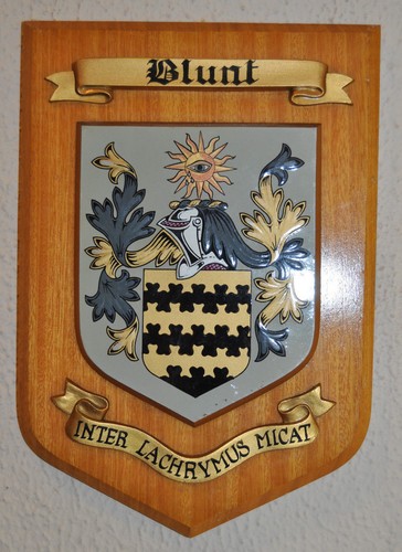 Large blunt plaque - large,